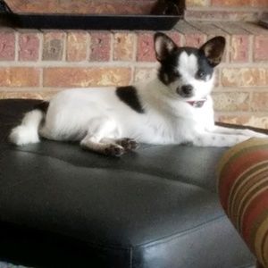 Meet your Posher, Brenda